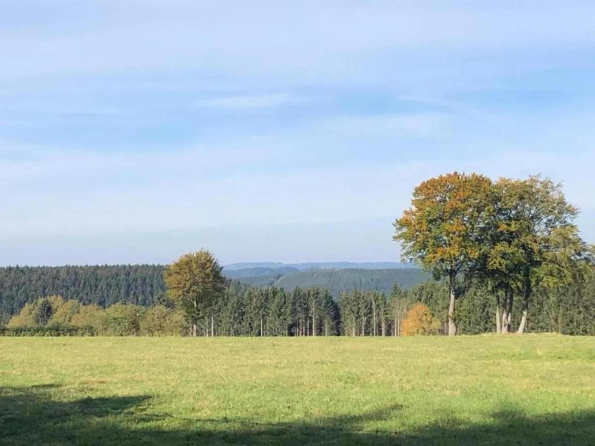 Holiday Home Ardennes Blue In Theux Near Spa La Reid Eksteriør billede